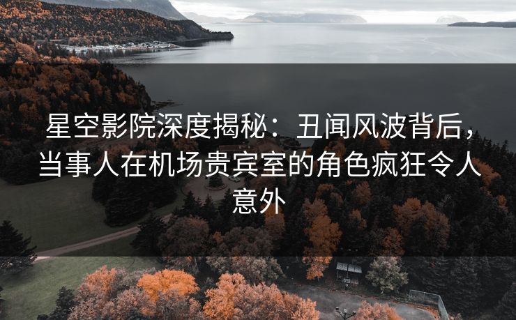星空影院深度揭秘：丑闻风波背后，当事人在机场贵宾室的角色疯狂令人意外